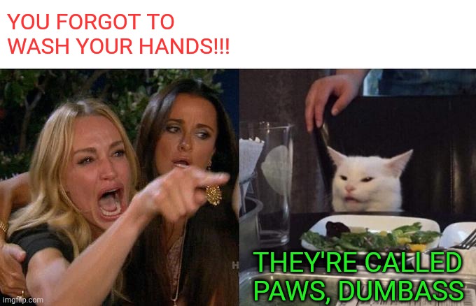 Woman Yelling At Cat Meme | YOU FORGOT TO WASH YOUR HANDS!!! THEY'RE CALLED PAWS, DUMBASS | image tagged in memes,woman yelling at cat | made w/ Imgflip meme maker