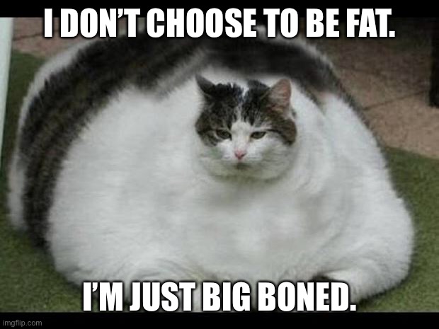 fat cat 2 | I DON’T CHOOSE TO BE FAT. I’M JUST BIG BONED. | image tagged in fat cat 2 | made w/ Imgflip meme maker