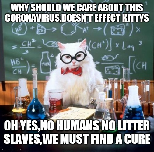 Chemistry Cat | WHY SHOULD WE CARE ABOUT THIS CORONAVIRUS,DOESN'T EFFECT KITTYS; OH YES,NO HUMANS NO LITTER SLAVES,WE MUST FIND A CURE | image tagged in memes,chemistry cat | made w/ Imgflip meme maker