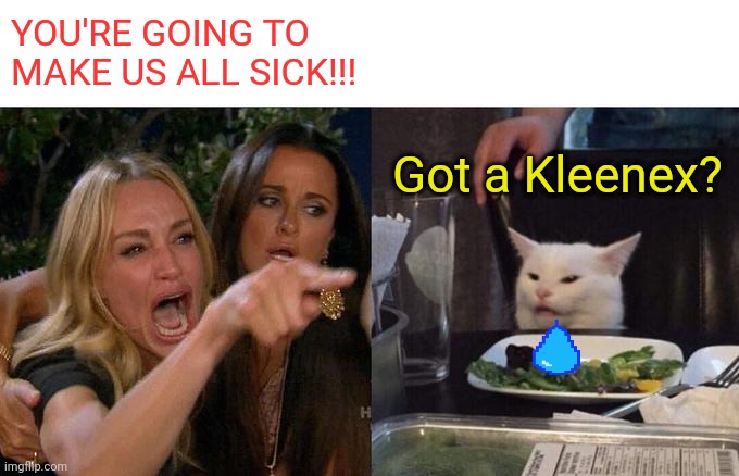 Woman Yelling At Cat Meme | YOU'RE GOING TO MAKE US ALL SICK!!! Got a Kleenex? | image tagged in memes,woman yelling at cat | made w/ Imgflip meme maker