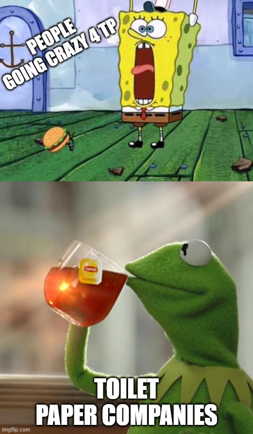 PEOPLE GOING CRAZY 4 TP; TOILET PAPER COMPANIES | image tagged in memes,but thats none of my business,victory screech | made w/ Imgflip meme maker