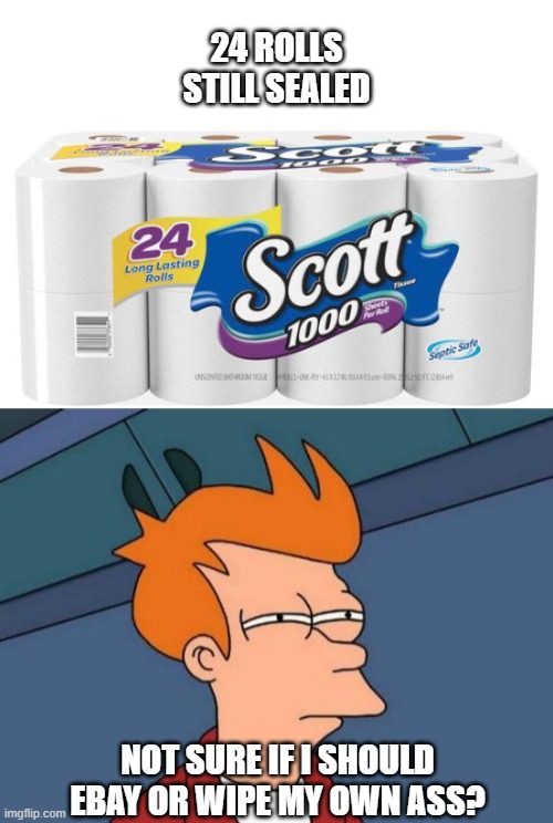 I could probably wipe with all the dollar bills I could get. | 24 ROLLS STILL SEALED; NOT SURE IF I SHOULD EBAY OR WIPE MY OWN ASS? | image tagged in memes,futurama fry,vintage toilet paper,ebay,coronavirus | made w/ Imgflip meme maker