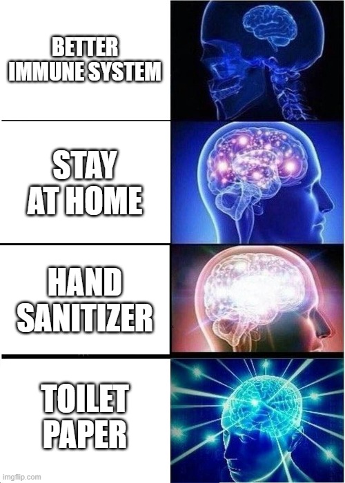 Expanding Brain | BETTER IMMUNE SYSTEM; STAY AT HOME; HAND SANITIZER; TOILET PAPER | image tagged in memes,expanding brain | made w/ Imgflip meme maker