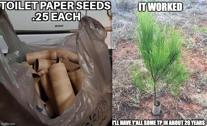 Toilet Paper Seeds | IT WORKED; I'LL HAVE Y'ALL SOME TP IN ABOUT 20 YEARS | image tagged in toilet paper,no more toilet paper,toilet humor | made w/ Imgflip meme maker
