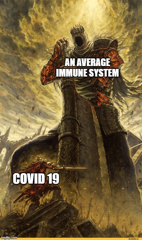 Fantasy Painting | AN AVERAGE IMMUNE SYSTEM; COVID 19 | image tagged in fantasy painting | made w/ Imgflip meme maker