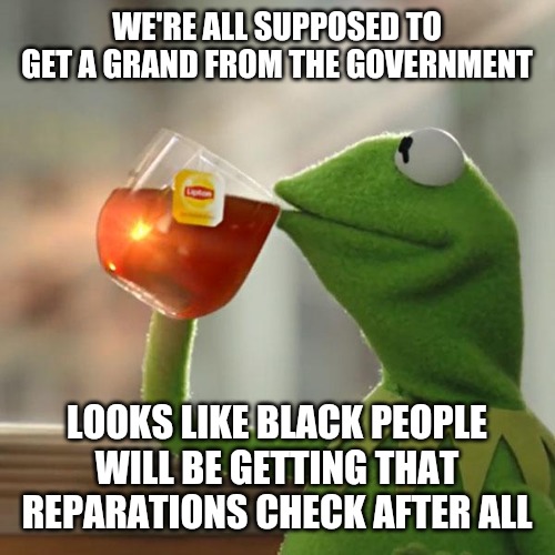 A black YouTuber actually said this and he meant it. | WE'RE ALL SUPPOSED TO GET A GRAND FROM THE GOVERNMENT; LOOKS LIKE BLACK PEOPLE WILL BE GETTING THAT REPARATIONS CHECK AFTER ALL | image tagged in memes,but thats none of my business,kermit the frog | made w/ Imgflip meme maker