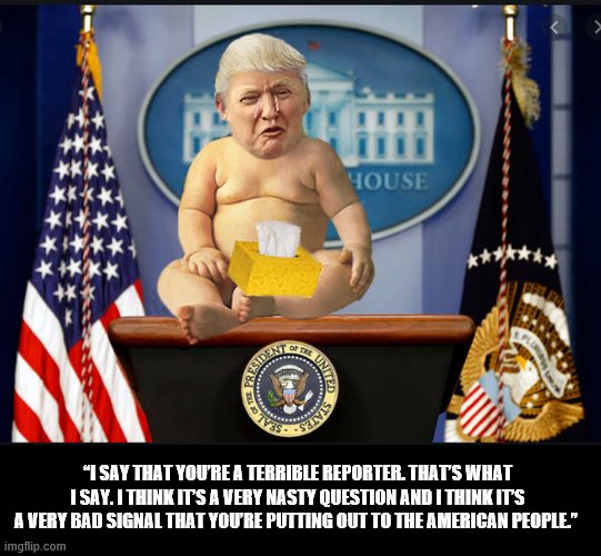 President Pouty | “I SAY THAT YOU’RE A TERRIBLE REPORTER. THAT’S WHAT I SAY. I THINK IT’S A VERY NASTY QUESTION AND I THINK IT’S A VERY BAD SIGNAL THAT YOU’RE PUTTING OUT TO THE AMERICAN PEOPLE.” | image tagged in trump is a moron,coronavirus,president trump,idiot | made w/ Imgflip meme maker