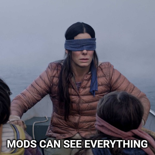 Trust me .... | MODS CAN SEE EVERYTHING | image tagged in memes,bird box | made w/ Imgflip meme maker