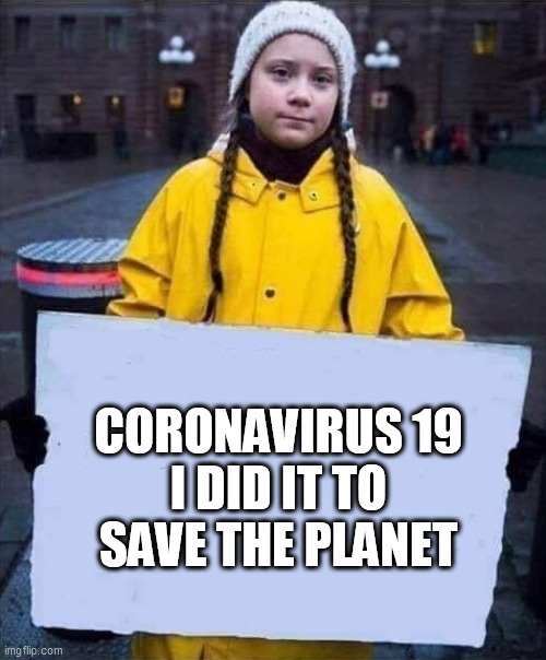 Greta | CORONAVIRUS 19
I DID IT TO SAVE THE PLANET | image tagged in greta,covid-19,covid19,cover up | made w/ Imgflip meme maker