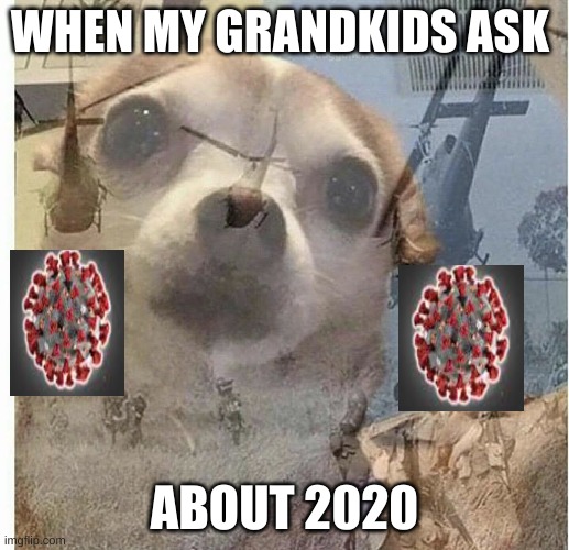 PTSD Chihuahua | WHEN MY GRANDKIDS ASK; ABOUT 2020 | image tagged in ptsd chihuahua | made w/ Imgflip meme maker