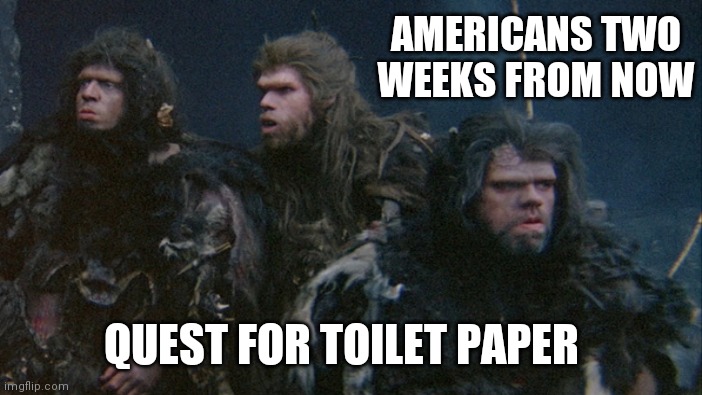 AMERICANS TWO WEEKS FROM NOW; QUEST FOR TOILET PAPER | image tagged in memes | made w/ Imgflip meme maker