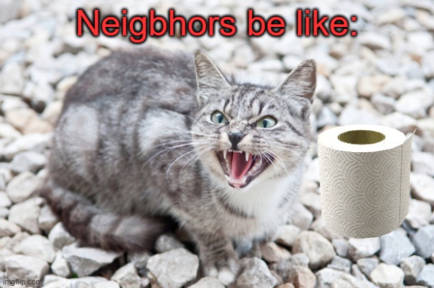 Hissing Cat | Neigbhors be like: | image tagged in hissing cat,memes,coronavirus,toilet paper | made w/ Imgflip meme maker