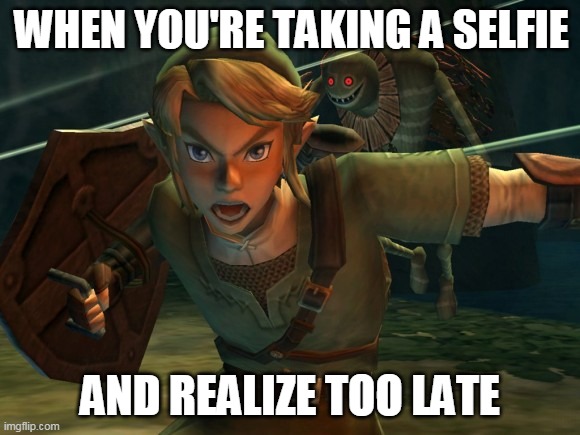 Link Legend of Zelda Yelling | WHEN YOU'RE TAKING A SELFIE; AND REALIZE TOO LATE | image tagged in link legend of zelda yelling | made w/ Imgflip meme maker