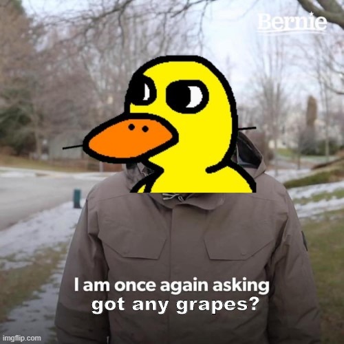 Waddle Waddle | got any grapes? | image tagged in bernie sanders,funny | made w/ Imgflip meme maker