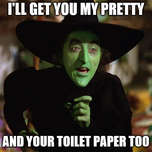 I'LL GET YOU MY PRETTY; AND YOUR TOILET PAPER TOO | image tagged in toilet paper,corona virus,covid-19,wicked witch | made w/ Imgflip meme maker