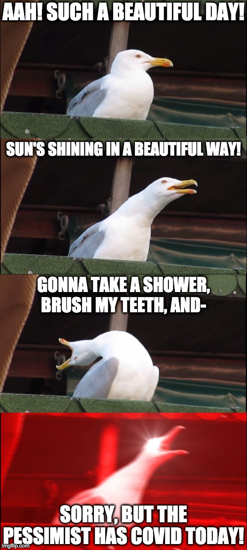 Life is Fun...Not. | AAH! SUCH A BEAUTIFUL DAY! SUN'S SHINING IN A BEAUTIFUL WAY! GONNA TAKE A SHOWER, BRUSH MY TEETH, AND-; SORRY, BUT THE PESSIMIST HAS COVID TODAY! | image tagged in memes,inhaling seagull | made w/ Imgflip meme maker