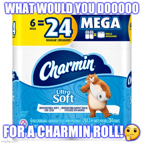 Charmin | WHAT WOULD YOU DOOOOO; FOR A CHARMIN ROLL!🤔 | image tagged in charmin,toilet paper,coronavirus,donald trump | made w/ Imgflip meme maker