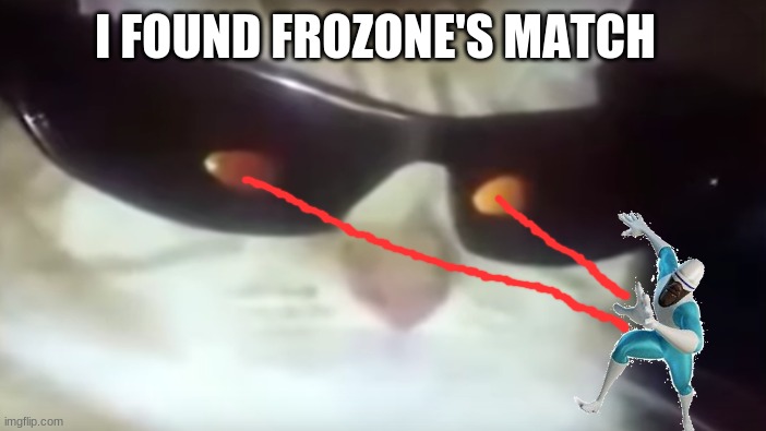 Funny Laser Cat | I FOUND FROZONE'S MATCH | image tagged in funny cat memes,superhero meme,the incredibles | made w/ Imgflip meme maker