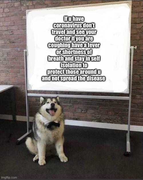 Dog White Board |  If u have coronavirus don’t travel and see your doctor if you are coughing have a fever or shortness of breath and stay in self isolation to protect those around u and not spread the disease | image tagged in dog white board | made w/ Imgflip meme maker