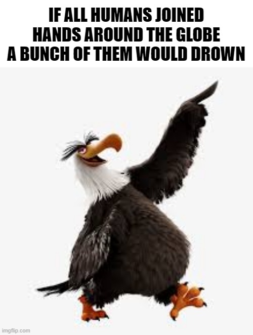oh boi | IF ALL HUMANS JOINED HANDS AROUND THE GLOBE A BUNCH OF THEM WOULD DROWN | image tagged in angry birds eagle,dad joke | made w/ Imgflip meme maker
