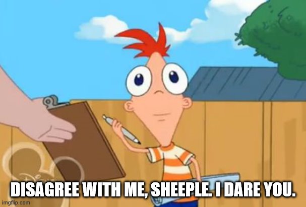 Phineas front face | DISAGREE WITH ME, SHEEPLE. I DARE YOU. | image tagged in phineas front face | made w/ Imgflip meme maker