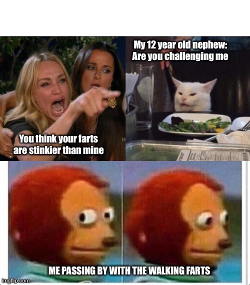 My 12 year old nephew: Are you challenging me; You think your farts are stinkier than mine; ME PASSING BY WITH THE WALKING FARTS | image tagged in memes,woman yelling at cat,awkward muppet | made w/ Imgflip meme maker