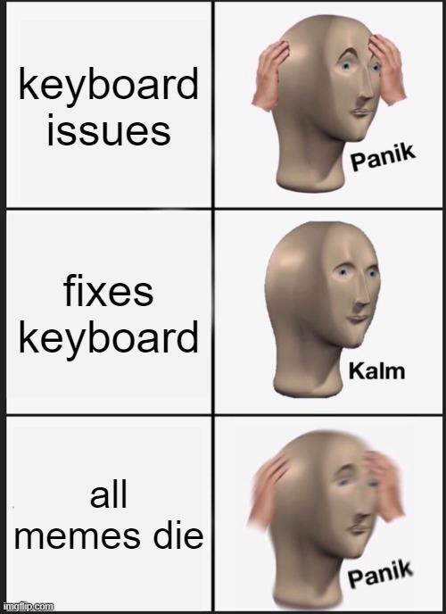 Panik Kalm Panik | keyboard issues; fixes keyboard; all memes die | image tagged in memes,panik kalm panik,keyboard,dead memes | made w/ Imgflip meme maker
