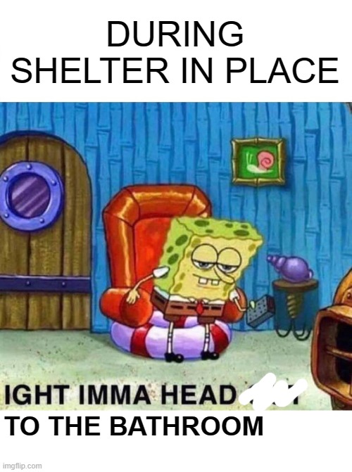 There really aren't very many options | DURING SHELTER IN PLACE; TO THE BATHROOM | image tagged in memes,spongebob ight imma head out,hope you have toilet paper,shelter in place | made w/ Imgflip meme maker
