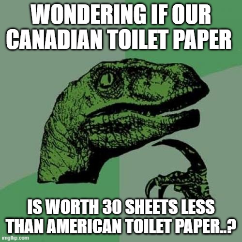 Philosoraptor Meme | WONDERING IF OUR CANADIAN TOILET PAPER; IS WORTH 30 SHEETS LESS THAN AMERICAN TOILET PAPER..? | image tagged in memes,philosoraptor | made w/ Imgflip meme maker