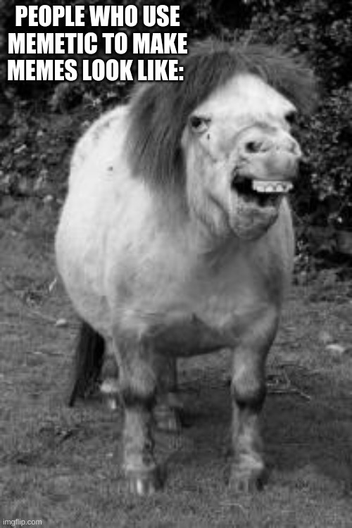 ugly horse | PEOPLE WHO USE MEMETIC TO MAKE MEMES LOOK LIKE: | image tagged in ugly horse | made w/ Imgflip meme maker