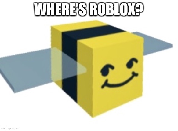Normal melon | WHERE’S ROBLOX? | image tagged in normal melon | made w/ Imgflip meme maker