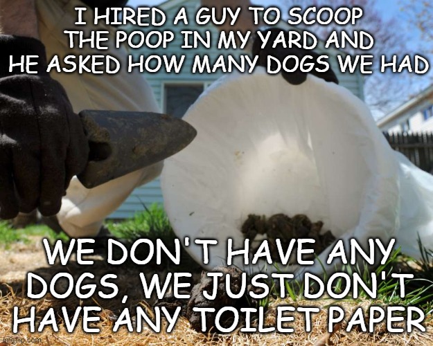 No TP | I HIRED A GUY TO SCOOP THE POOP IN MY YARD AND HE ASKED HOW MANY DOGS WE HAD; WE DON'T HAVE ANY DOGS, WE JUST DON'T HAVE ANY TOILET PAPER | image tagged in toilet paper,coronavirus,corona relief,tp,tp for my bunghole | made w/ Imgflip meme maker