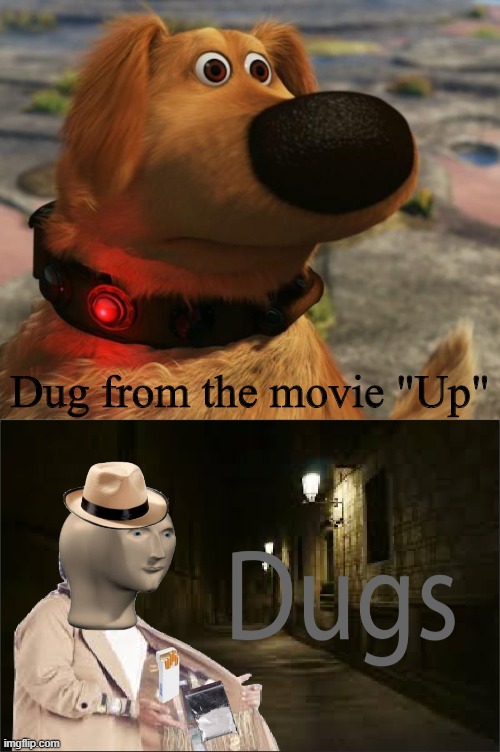 Dug from the movie "Up" | image tagged in dug the dog,dugs | made w/ Imgflip meme maker