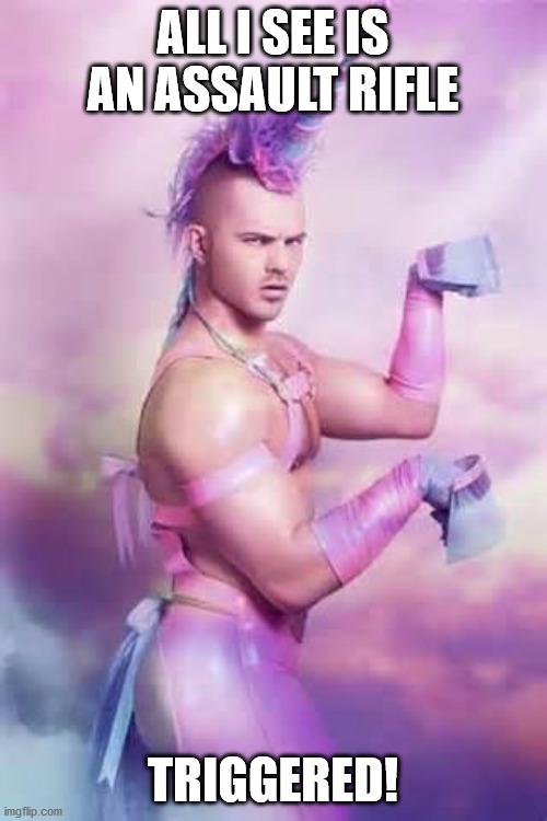 Gay Unicorn | ALL I SEE IS AN ASSAULT RIFLE TRIGGERED! | image tagged in gay unicorn | made w/ Imgflip meme maker