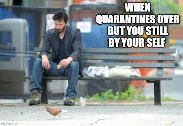 Sad Keanu | WHEN QUARANTINES OVER BUT YOU STILL BY YOUR SELF | image tagged in memes,sad keanu | made w/ Imgflip meme maker