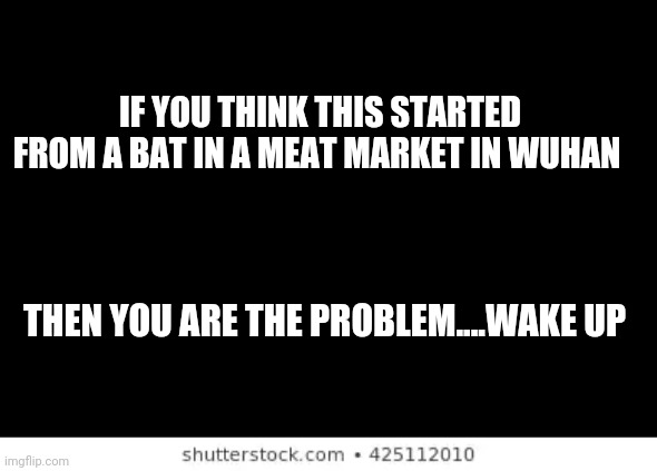 Don't be fooled | IF YOU THINK THIS STARTED FROM A BAT IN A MEAT MARKET IN WUHAN; THEN YOU ARE THE PROBLEM....WAKE UP | image tagged in coronavirus | made w/ Imgflip meme maker