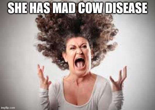 original mad cow disease  | SHE HAS MAD COW DISEASE | image tagged in original mad cow disease | made w/ Imgflip meme maker