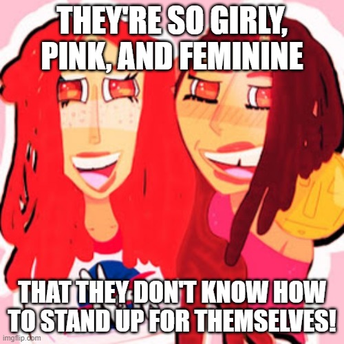 a pair of girls | THEY'RE SO GIRLY, PINK, AND FEMININE; THAT THEY DON'T KNOW HOW TO STAND UP FOR THEMSELVES! | image tagged in a pair of girls | made w/ Imgflip meme maker