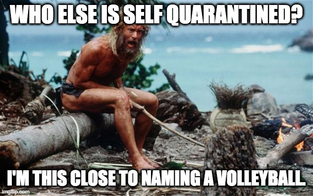 Wilson - Tom Hanks | WHO ELSE IS SELF QUARANTINED? I'M THIS CLOSE TO NAMING A VOLLEYBALL. | image tagged in wilson - tom hanks | made w/ Imgflip meme maker