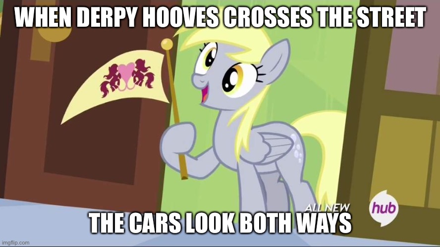Derpy Hooves facts | WHEN DERPY HOOVES CROSSES THE STREET; THE CARS LOOK BOTH WAYS | image tagged in derpy hooves facts | made w/ Imgflip meme maker