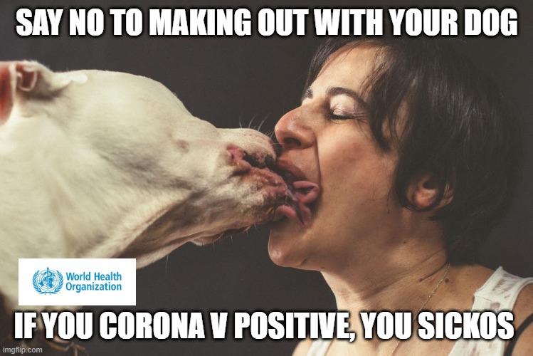 Dog Corona V positive | SAY NO TO MAKING OUT WITH YOUR DOG; IF YOU CORONA V POSITIVE, YOU SICKOS | image tagged in coronavirus,corona virus,positive,dogs,funny dogs | made w/ Imgflip meme maker