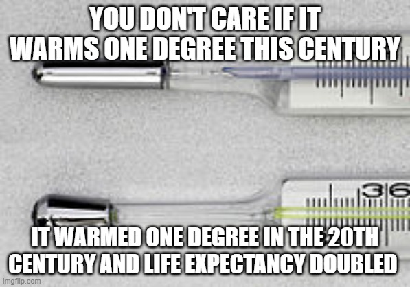 Thermometer | YOU DON'T CARE IF IT WARMS ONE DEGREE THIS CENTURY; IT WARMED ONE DEGREE IN THE 20TH CENTURY AND LIFE EXPECTANCY DOUBLED | image tagged in thermometer | made w/ Imgflip meme maker