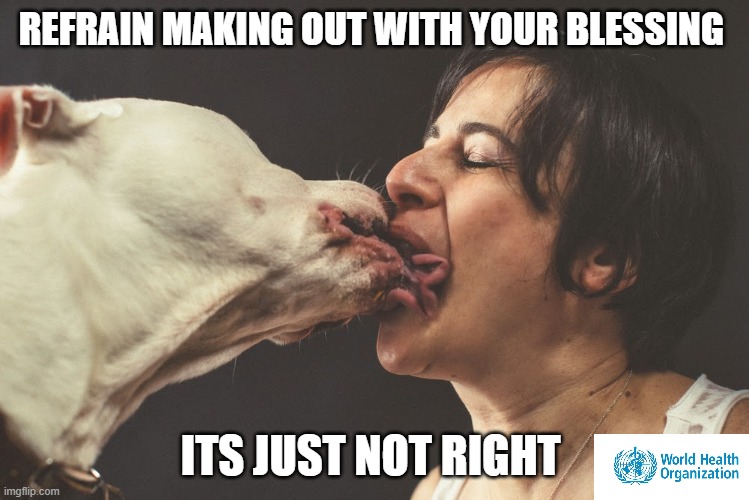 Dog Corona V positive | REFRAIN MAKING OUT WITH YOUR BLESSING; ITS JUST NOT RIGHT | image tagged in coronavirus,dogs,happy dog,corona virus | made w/ Imgflip meme maker