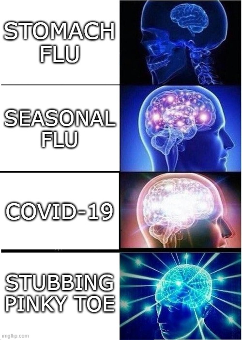 Physical ailment hierarchy | STOMACH FLU; SEASONAL FLU; COVID-19; STUBBING PINKY TOE | image tagged in memes,expanding brain,covid-19,covid19,flu | made w/ Imgflip meme maker