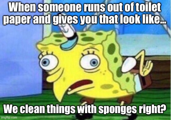 Mocking Spongebob | When someone runs out of toilet paper and gives you that look like... We clean things with sponges right? | image tagged in memes,mocking spongebob | made w/ Imgflip meme maker