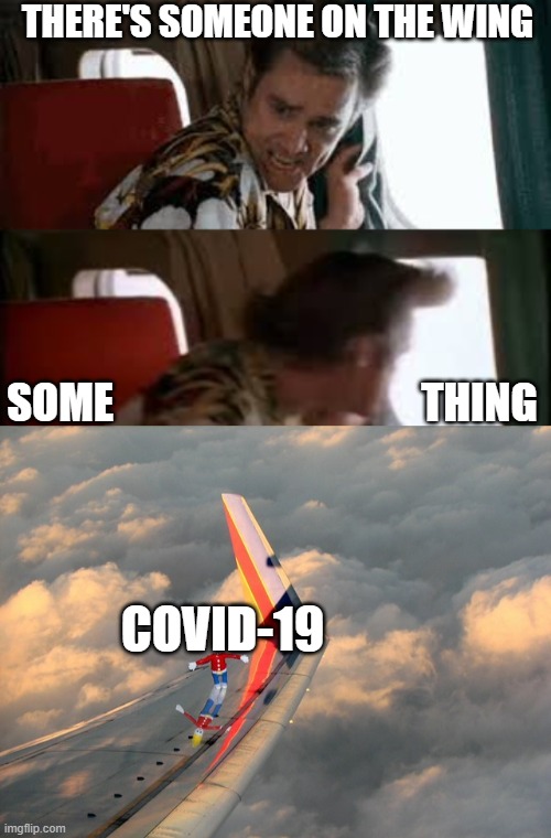 WING | THERE'S SOMEONE ON THE WING; SOME                                    THING; COVID-19 | image tagged in funny,covid-19,ace ventura | made w/ Imgflip meme maker