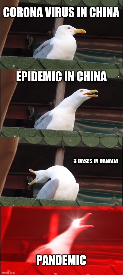 Inhaling Seagull | CORONA VIRUS IN CHINA; EPIDEMIC IN CHINA; 3 CASES IN CANADA; PANDEMIC | image tagged in memes,inhaling seagull | made w/ Imgflip meme maker