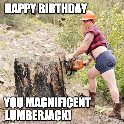 Happy Birthday Lumberjack | HAPPY BIRTHDAY; YOU MAGNIFICENT; LUMBERJACK! | image tagged in happy birthday,birthday,lumberjack | made w/ Imgflip meme maker
