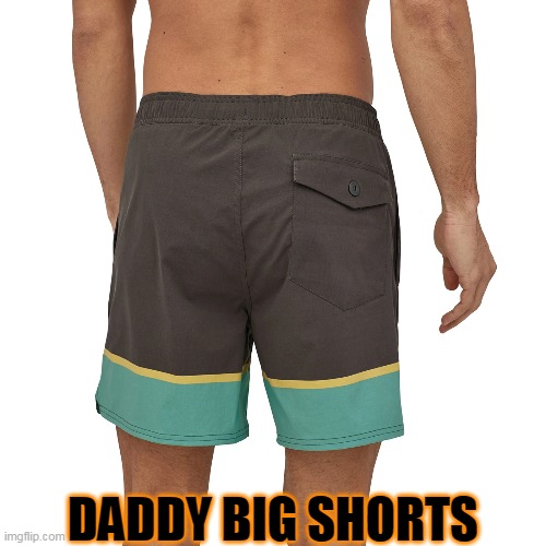 DADDY BIG SHORTS | image tagged in meanwhile on imgflip | made w/ Imgflip meme maker