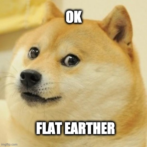 Doge Meme | OK; FLAT EARTHER | image tagged in memes,doge | made w/ Imgflip meme maker